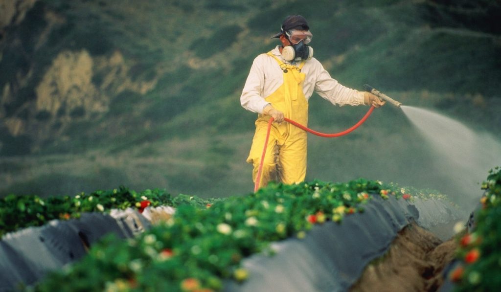 Greenpeace Türkiye'den çağrı: Limitlerin üzerinde pestisit kullananlar açıklansın